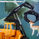 Image for article titled Five-Point Frenzy: When Deer Meets Car